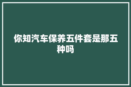 你知汽车保养五件套是那五种吗