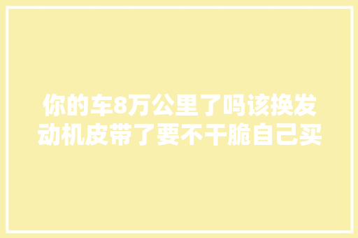 你的车8万公里了吗该换发动机皮带了要不干脆自己买吧
