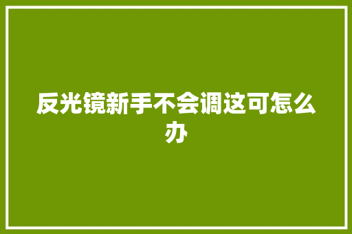 反光镜新手不会调这可怎么办