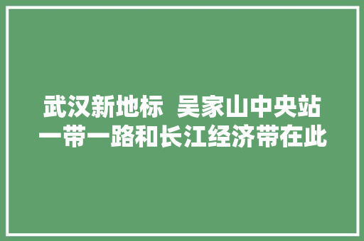 武汉新地标  吴家山中央站一带一路和长江经济带在此交会