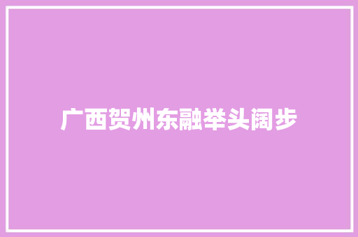 广西贺州东融举头阔步