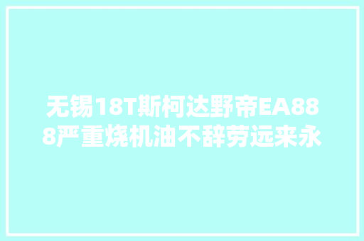 无锡18T斯柯达野帝EA888严重烧机油不辞劳远来永康彻底解决