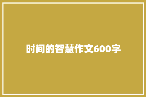 时间的智慧作文600字