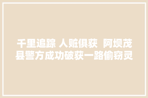 千里追踪 人赃俱获  阿坝茂县警方成功破获一路偷窃灵巧车辆案件