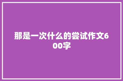 那是一次什么的尝试作文600字