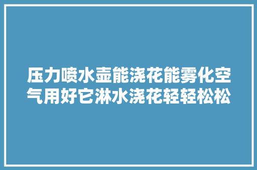 压力喷水壶能浇花能雾化空气用好它淋水浇花轻轻松松