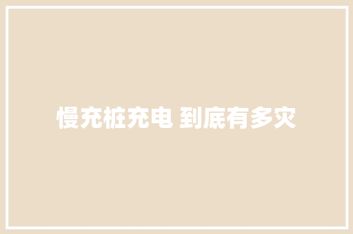 慢充桩充电 到底有多灾