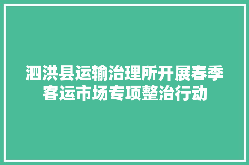 泗洪县运输治理所开展春季客运市场专项整治行动