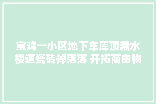 宝鸡一小区地下车库顶漏水楼道瓷砖掉落落 开拓商由物业负责治理