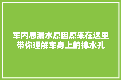 车内总漏水原因原来在这里带你理解车身上的排水孔