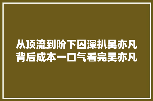 从顶流到阶下囚深扒吴亦凡背后成本一口气看完吴亦凡事宜始末