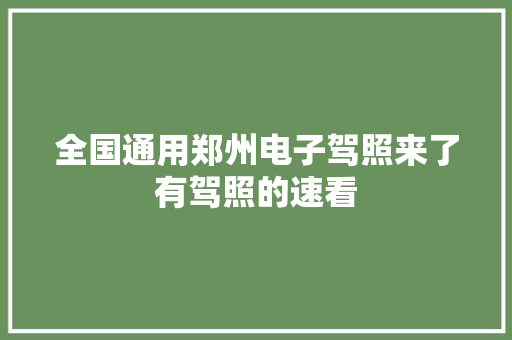 全国通用郑州电子驾照来了有驾照的速看