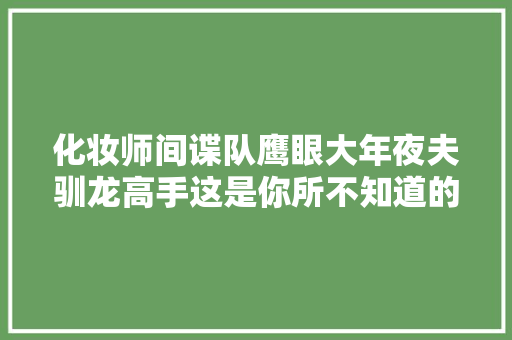化妆师间谍队鹰眼大年夜夫驯龙高手这是你所不知道的春运