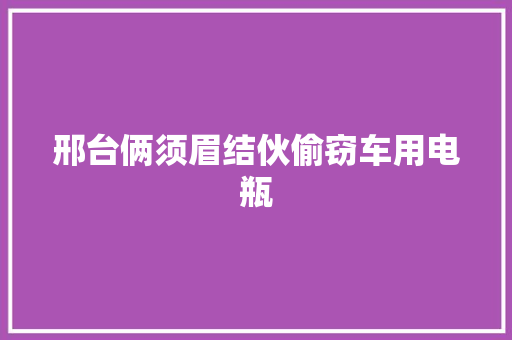 邢台俩须眉结伙偷窃车用电瓶