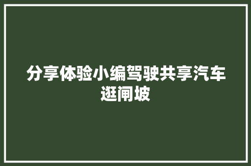 分享体验小编驾驶共享汽车逛闸坡
