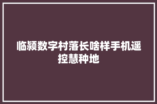 临颍数字村落长啥样手机遥控慧种地