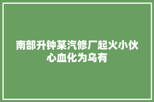 南部升钟某汽修厂起火小伙心血化为乌有