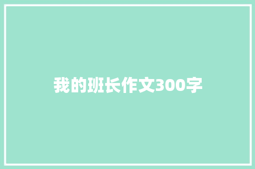 我的班长作文300字
