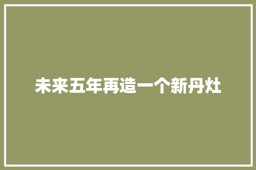 未来五年再造一个新丹灶