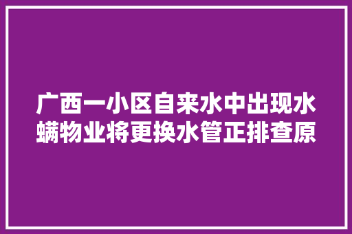 广西一小区自来水中出现水螨物业将更换水管正排查原因