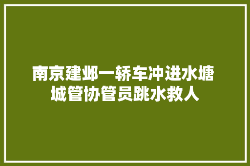 南京建邺一轿车冲进水塘 城管协管员跳水救人