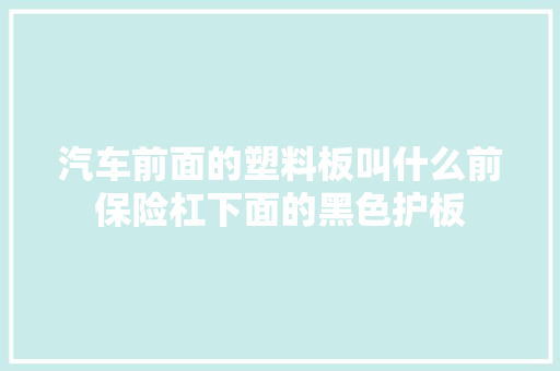 汽车前面的塑料板叫什么前保险杠下面的黑色护板