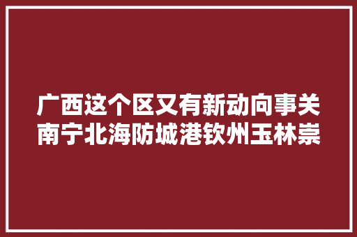 广西这个区又有新动向事关南宁北海防城港钦州玉林崇左