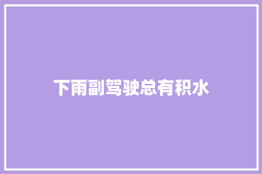 下雨副驾驶总有积水