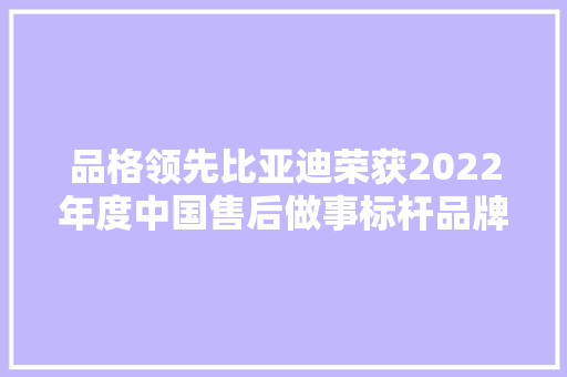 品格领先比亚迪荣获2022年度中国售后做事标杆品牌