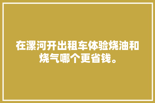 在漯河开出租车体验烧油和烧气哪个更省钱。