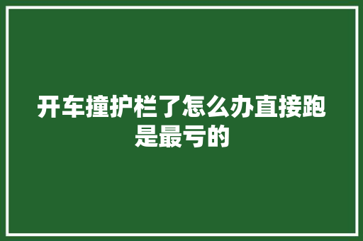 开车撞护栏了怎么办直接跑是最亏的