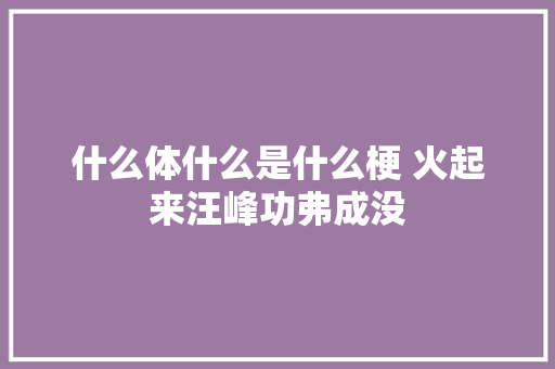 什么体什么是什么梗 火起来汪峰功弗成没 休闲娱乐