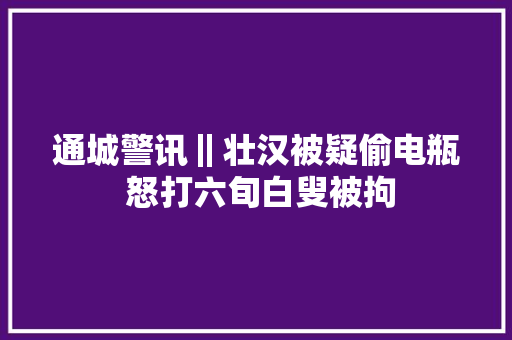 通城警讯‖壮汉被疑偷电瓶 怒打六旬白叟被拘