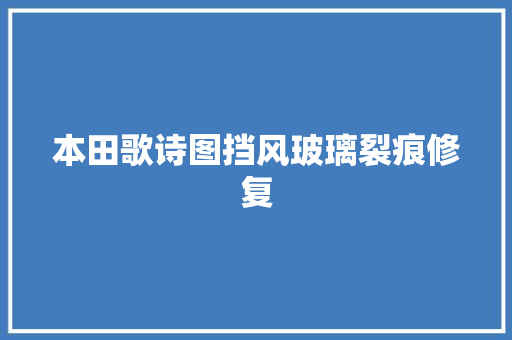 本田歌诗图挡风玻璃裂痕修复