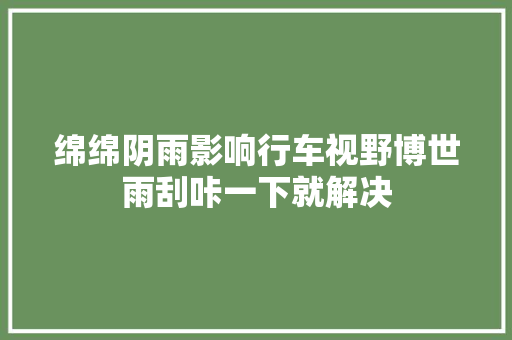 绵绵阴雨影响行车视野博世雨刮咔一下就解决