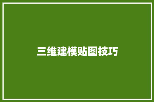 三维建模贴图技巧
