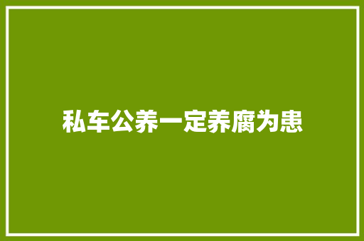 私车公养一定养腐为患