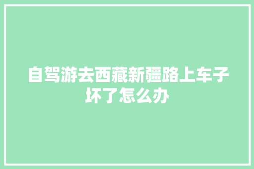 自驾游去西藏新疆路上车子坏了怎么办