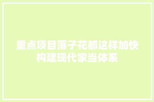 重点项目落子花都这样加快构建现代家当体系