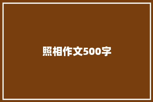 照相作文500字