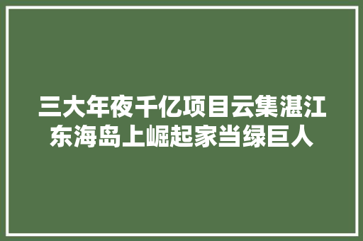 三大年夜千亿项目云集湛江东海岛上崛起家当绿巨人