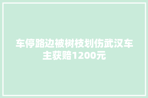 车停路边被树枝划伤武汉车主获赔1200元