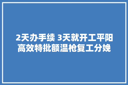 2天办手续 3天就开工平阳高效特批额温枪复工分娩