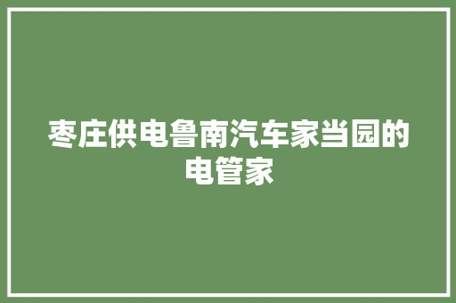 枣庄供电鲁南汽车家当园的电管家