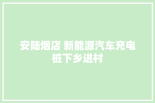 安陆烟店 新能源汽车充电桩下乡进村 汽车知识
