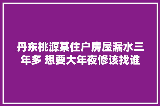 丹东桃源某住户房屋漏水三年多 想要大年夜修该找谁