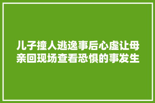 儿子撞人逃逸事后心虚让母亲回现场查看恐惧的事发生了