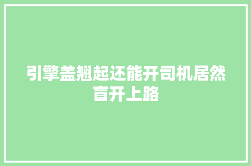 引擎盖翘起还能开司机居然盲开上路
