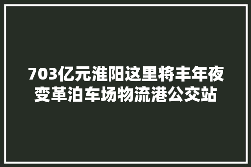703亿元淮阳这里将丰年夜变革泊车场物流港公交站