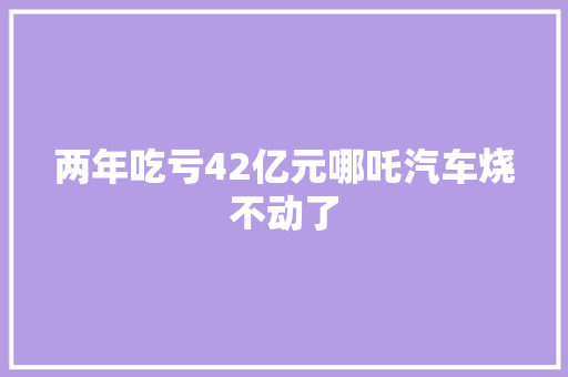 两年吃亏42亿元哪吒汽车烧不动了